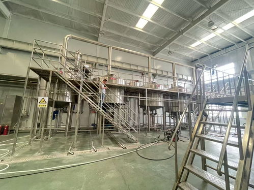 供应甘肃的大型精酿啤酒设备生产工厂年产2万吨的自动糖化设备
